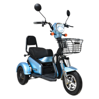 Tricycle Compact "Happy"
