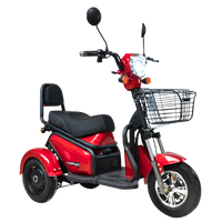 Tricycle électrique "Happy"
