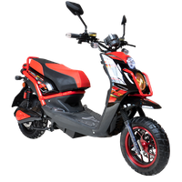 Scooter Cross "BWS