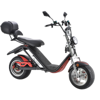 Chopper électrique "BeCool"