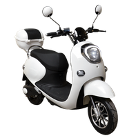 Scooter électrique "Scooby"